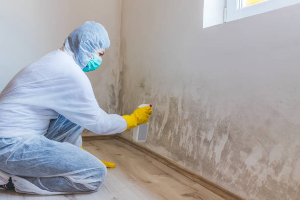 Hvac And Air Duct Mold Remediation inspection of HVAC system in Spotsylvania